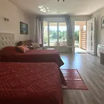 Dans Oliveraie Tres Beau 11 Pers Perpignan
