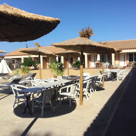 Villa Dans Oliveraie Tres Beau 11 Pers