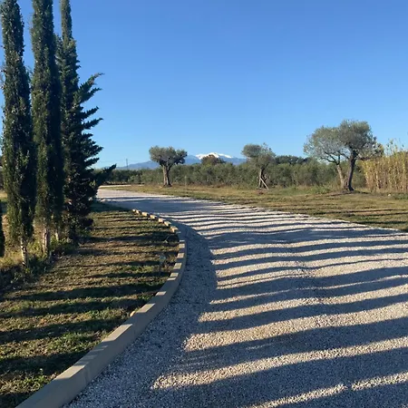 Dans Oliveraie Tres Beau 11 Pers Villa *