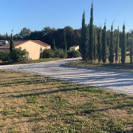 Dans Oliveraie Tres Beau 11 Pers Perpignan