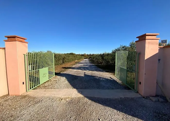 Dans Oliveraie Tres Beau 11 Pers Perpignan