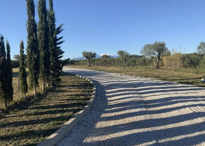 Dans Oliveraie Tres Beau 11 Pers *