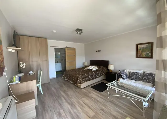 Dans Oliveraie Tres Beau 11 Pers