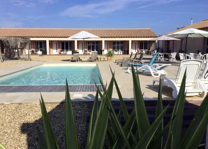 Dans Oliveraie Tres Beau 11 Pers *