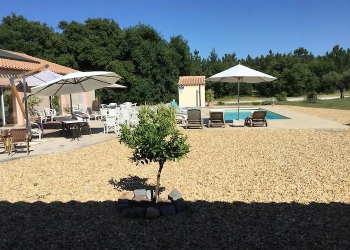 Dans Oliveraie Tres Beau 11 Pers * Perpignan