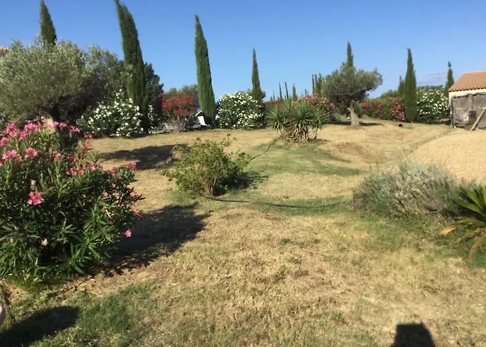 Dans Oliveraie Tres Beau 11 Pers Villa Perpignan