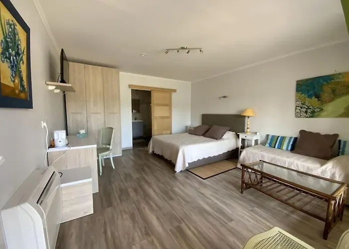 Dans Oliveraie Tres Beau 11 Pers Villa *