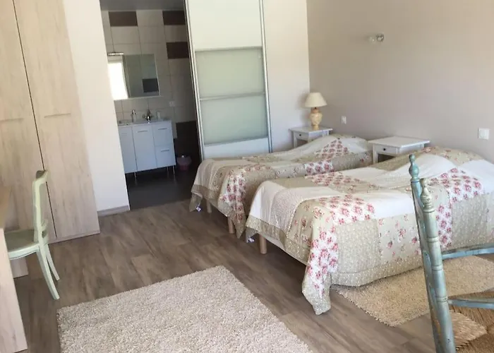 Villa Dans Oliveraie Tres Beau 11 Pers *