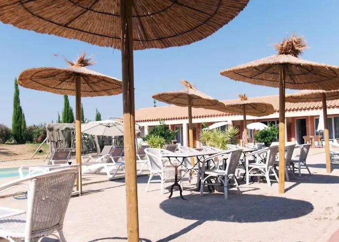 Dans Oliveraie Tres Beau 11 Pers * Perpignan