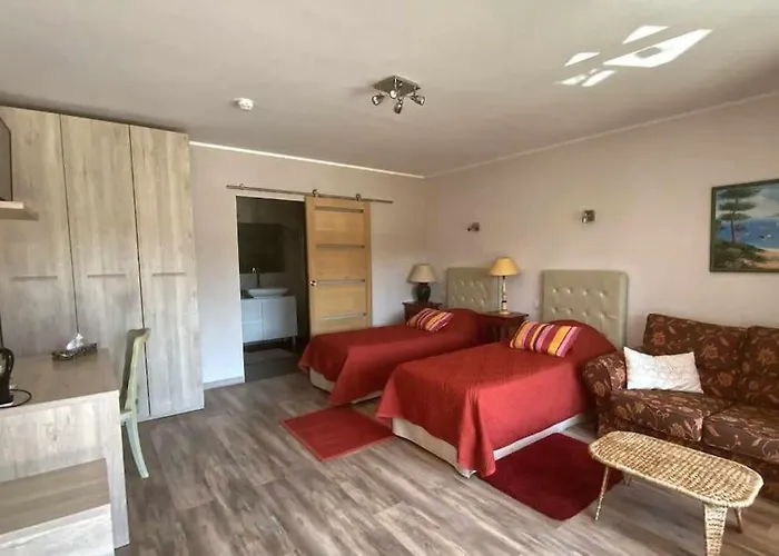 Villa Dans Oliveraie Tres Beau 11 Pers