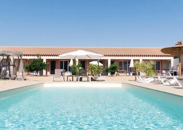 Dans Oliveraie Tres Beau 11 Pers * Perpignan