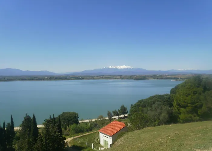 Dans Oliveraie Tres Beau 11 Pers