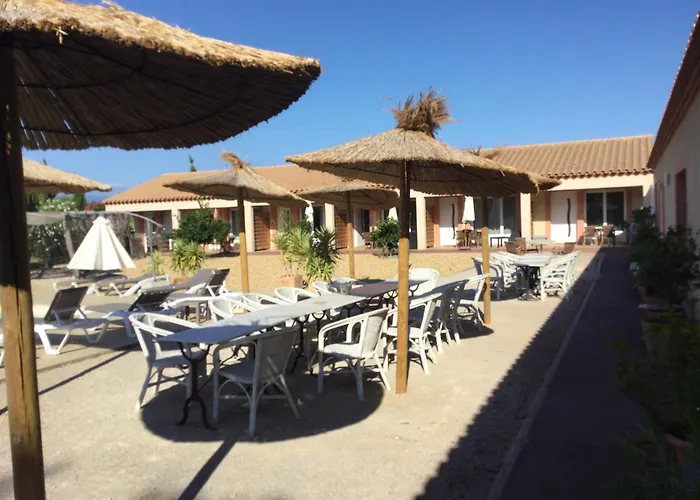 Villa Dans Oliveraie Tres Beau 11 Pers