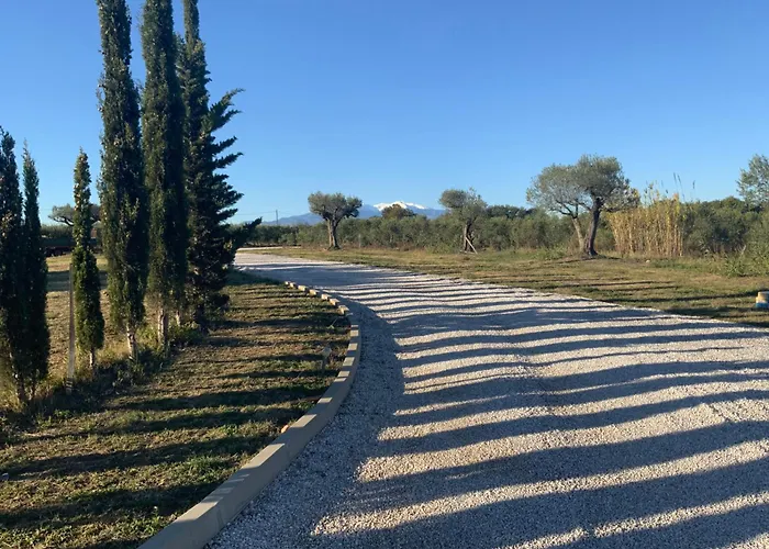 Dans Oliveraie Tres Beau 11 Pers Villa *